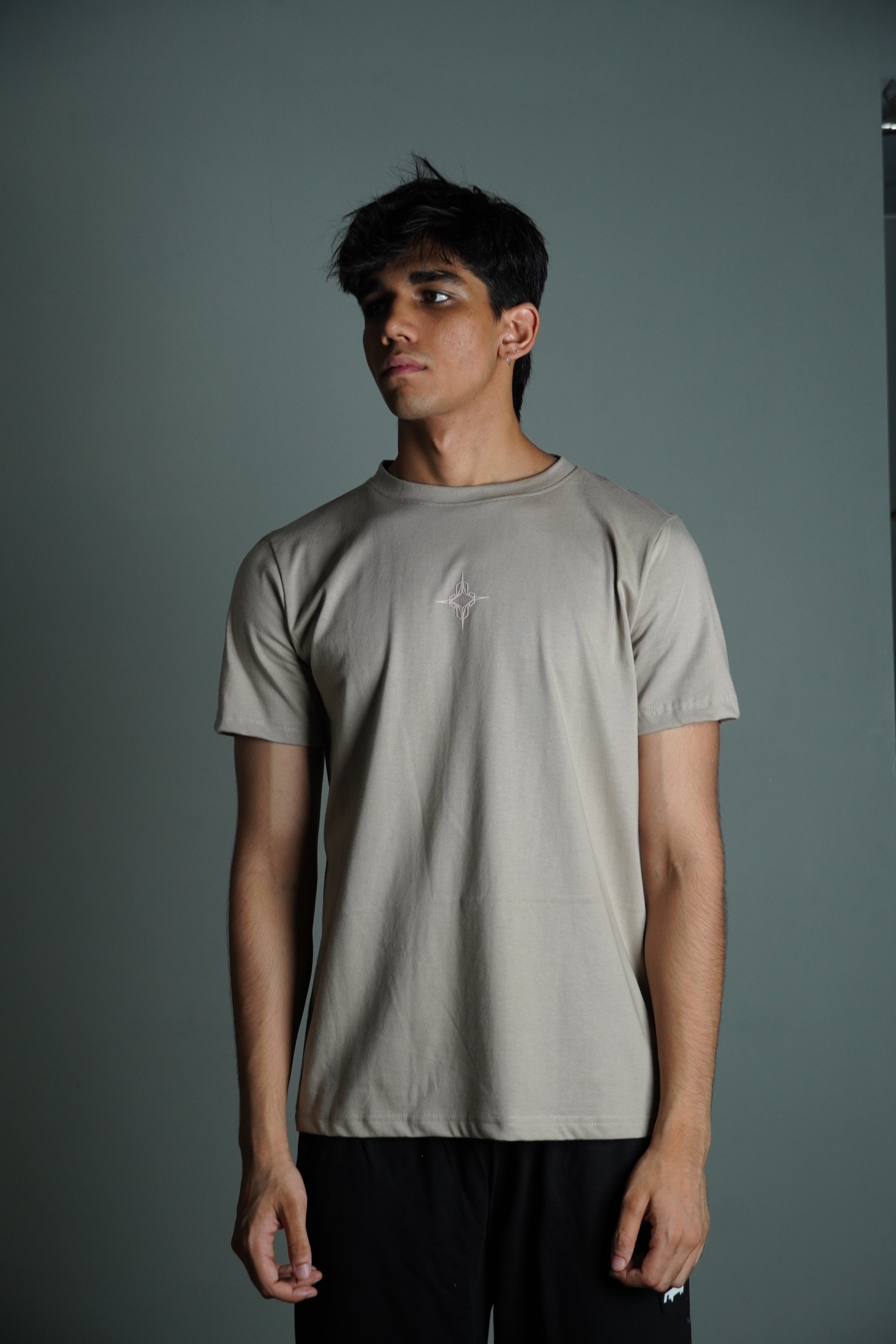 Ash Brown tee( Regular Fit ) by Ripoff