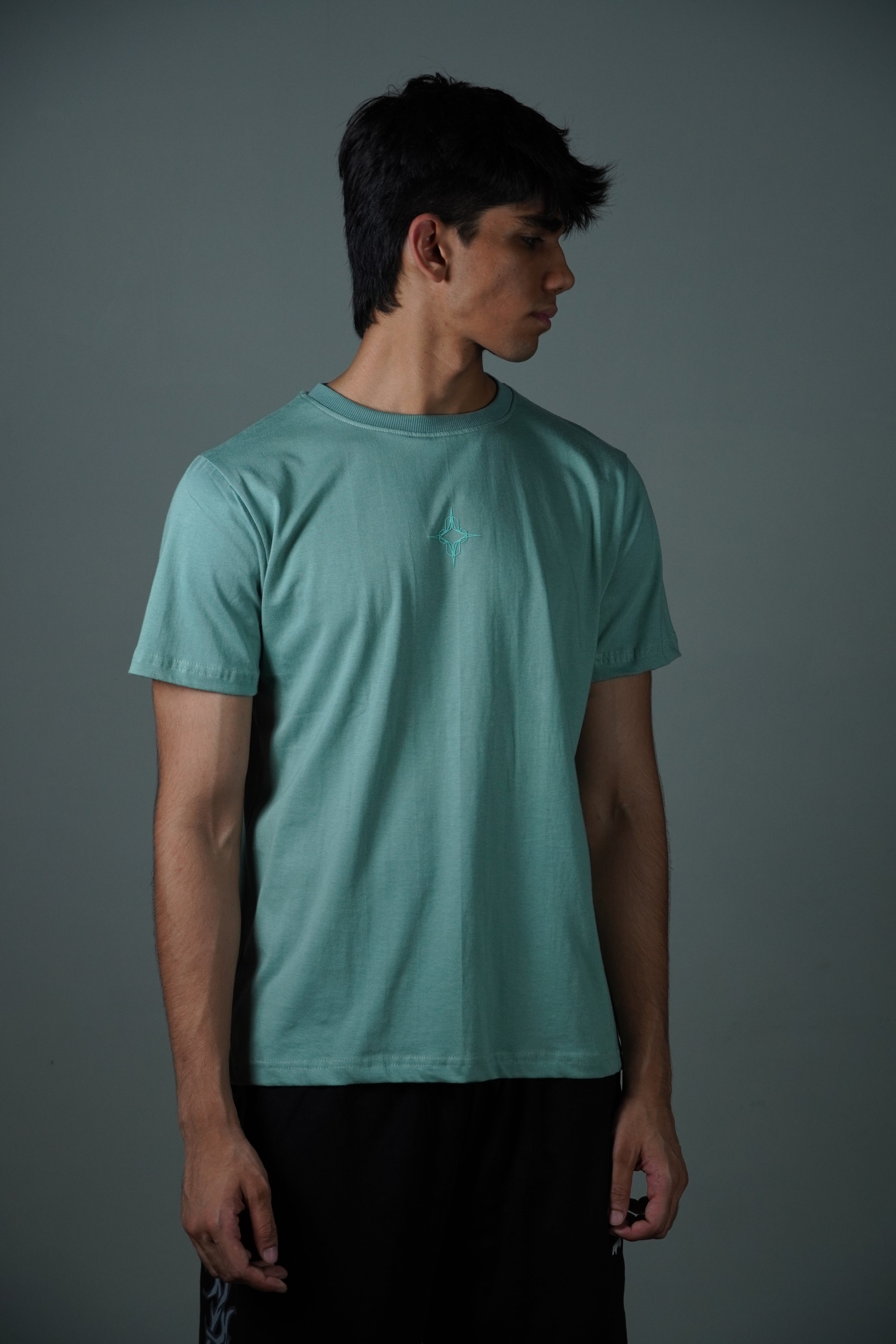 Mint green tee (Regular)( Regular Fit ) by Ripoff